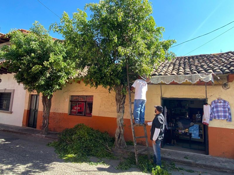 Despunte de árboles por la calle Madero